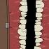 SMILE ROOM Animation Series