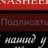 Самые лучшие Нашид в мире