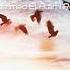 Maratone Roxanne Emery Learn To Fly Mhammed El Alami Extended Remix