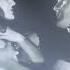 Highly Controversial Director Pier Paolo Pasolini S Debut Film Accattone 1961