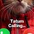 Tatum Calling Ringtone Calling Cat Cutecat Youtube Youtubeshorts Trending Foryou Kitten