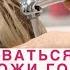 Как правильно наносить пилинг скраб для кожи головы