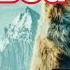 BRAVE DOG 2021 CALL OF THE WILD BEST MOVIE ADVENTURE 2021 2022 BEST MOVIE ALL TIME