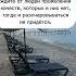 От осинки не родятся апельсинки