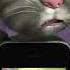 Boy What The Hell Boi Meme Talking Tom