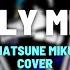 FNF Silly Miku Full Cover