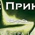 Четыре Принцессы Хе конечная Воплощение плана в жизнь Курс Таро Тота Сестра IC DEMO