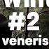 Veneris Vivaldi Winter Drill 2 Chill Boy Promotion