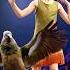 What A Girl Fuses With A Kea Bird On AGT Americagottalent Agt Magic Talent Shorts