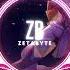 Grain In Ear丨Mang Chủng Zhao Fangjing ZetaByte Remix
