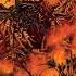 Dying Blaze Attera Obscurum 2009 Full Album