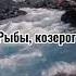 Знаки зодиака как строчки из песни 2 Знаки зодиака Гороскоп каждый день Shorts