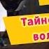 Барбоскины 64 Серия Тайное общество волшебников мультфильм