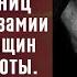 Я видел пьяниц с мудрыми глазами Читает Диана Сибирская Явиделпьяниц СтихиСоСмыслом Стихи