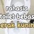 CARA MEMBERSIHKAN KERAK KUNING PADA TOILET RAHASIA TOILET BERSIH KINCLONG