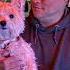 Boat Life Westiedog Sailboat Boat Ocean Seadog