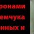 К П Чечеров Воспоминания о ЛПА аудио запись