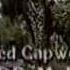 Santa Barbara Closing Credits