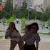 Ты в моих венах в моей ДНК тренды джиган ДНК Shorts Dance