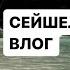 Сейшелы выживаем на острове Август 2024