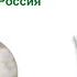 Подушка АДАЖИО Эко ЛЕБЯЖИЙ ПУХ ТРАДИЦИЯ АльВиТек Россия