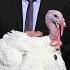 Biden Pardon S National Thanksgiving Turkey At White House