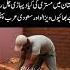 Habibi Come To Saudi Arabia Youtubeshorts Youtuber Viralreels
