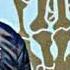 Nu Breed Jesse Howard Right Where We Belong Lyrics