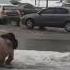 В Питере говно Пока так