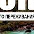 Поток Психология оптимального переживания Аудиокнига Михай Чиксентмихайи