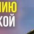 Сводка Минобороны России за период с 31 августа по 6 сентября 2024 г