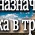 Смысл жизни и предназначение человека с точки зрения Кашмирского Шиваизма Парадвайты Трики 1 ч