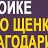 Брошенная бабушка нашла на свалке рыжего щенка и выходила его Но главный сюрприз ждал впереди