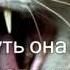 личный дневник кота