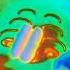 Zoopals In Color Curves Peel