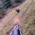 идеальный снимок кабана с близкого расстояния Chasse Cinghiale охота Sanglier Hunting