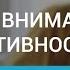 Психиатр Мартынихин И А Синдром дефицита внимания с гиперактивностью взгляд психиатра