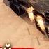 Таинственно исчезнувшие Crossout Сумрак Пламя