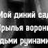 Xcho Вороны Мой дикий сад крылья вороны Slow Lirycs