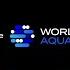 World Aquatics The Global Home Of Aquatic Sports