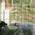 Sorgi Y Atom Se Lo Pasan Genial En Uno De Los Parques De La Residencia