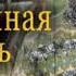 Рассказ Светланы Тимохиной Подаренная жизнь