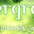 TOP 50 Evergreen Instrumental Songs