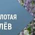 Романс Отговорила роща золотая Владимир Брилёв Концерт в Доме Музыки