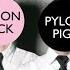 Pylon Pigs Continuous DJ Mix