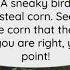 Corn Thief