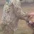 Lucky Tourist Escapes Lion Attack Smart Zookeeper Makes A Smart Move