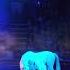 Ч 9 Конь на арене Русский цирк Никулина Матрёшка The Horse Is In The Arena Circus Animals