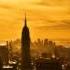 Alex M O R P H New York City Original