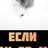Если АЛЛАХ со мной то я никого не боюсь Шейх Усман аль Хамис